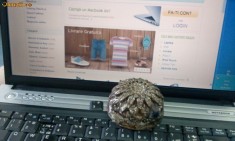 Orgon, orgonit, dispozitiv orgonic pasiv, protectie impotriva campurilor electromagnetice foto