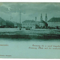 2074 - TIMISOARA, Market, Litho, Romania - old postcard - used - 1900