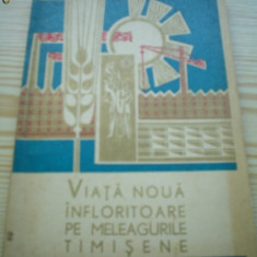 viata noua infloritoare pe meleagurile timisene judetul timis 1968 RSR epoca aur