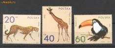 Polonia 1972 Pasari, animale salbatice, stamp. G.258 foto