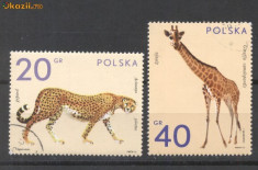 Polonia 1972 Pasari, animale salbatice, stamp. G.259 foto