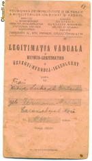 LEGITIMATIE DE VADUVA elaborata in anul 1924 la Timisoara foto