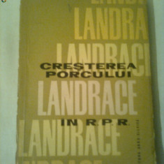 CRESTEREA PORCULUI LANDRACE IN R.P.R.