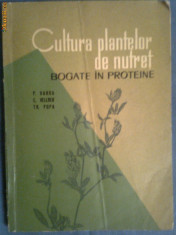 Cultura plantelor de nutret bogate in proteine foto