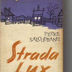 Petre Salcudeanu - Strada Lux