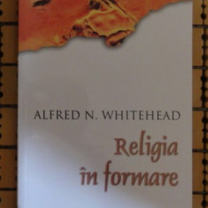 A N Whitehead Religia in formare ed. Herald