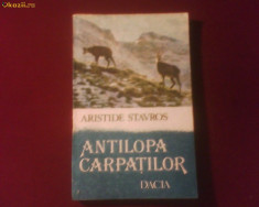 Aristide Stavros Antilopa Carpatilor foto