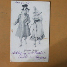 Carte postala porci in costume de epoca Freuliches Neujahr 1903