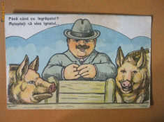 Carte postala caricatura om cu 2 porci foto