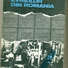 Martirul Evreilor din Romania - Cuvant inainte : Moses Rosen