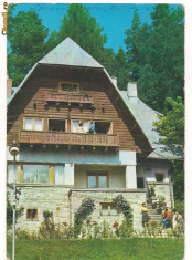 carte postala-SINAIA-Vila Brindusa foto