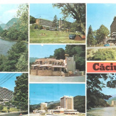 carte postala- CACIULATA-Colaj