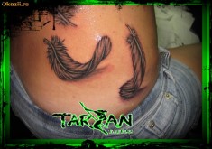 Tatuaje Tattoo Tatuaj Cosmetic/Make up Sprancene foto
