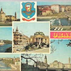 carte postala- ORADEA - Colaj