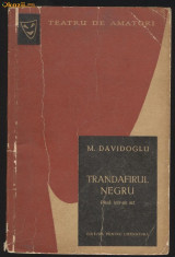 Mihail Davidoglu_TRANDAFIR NEGRU foto