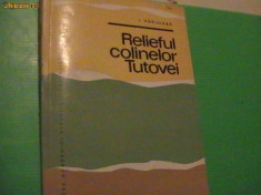 RELIEFUL COLINELOR TUTOVEI-I. HIRJOABA- foto