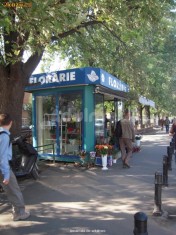 Vand Chiosc FLORARIE Zona METROU AVIATORILOR foto