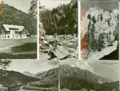 MUNTII APUSENI;PIATRA CRAIULUI;CHEILE TURZII;VALEA ARIESULUI;SOMESUL RECE;10 CP foto