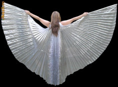 ACCESORII BALLYDANCE- ISIS WINGS foto