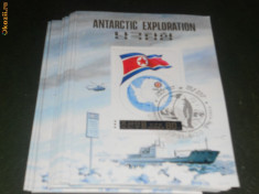 COLITA ANTARTICA 1991 foto