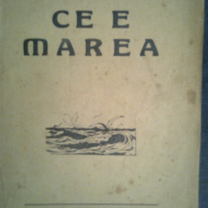 Ce e marea-Comandorul Corneliu Buchnoltzer