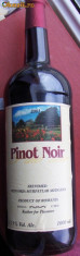 PINOT NOIR 2001 , din lot export foto