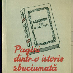 Pagini dintr-o istorie zbuciumata. Basarabia pana in anul 1920 - Constantin Aldea