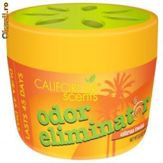 California Scents&amp;amp;reg; - Odor eliminator - 45 zile -150g foto