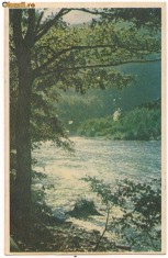 carte postala- VALEA OLTULUI - Vedere