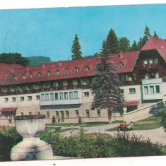 carte postala- BORSEC- Sanatoriul balnear