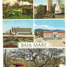 carte postala-Baia Mare- colaj