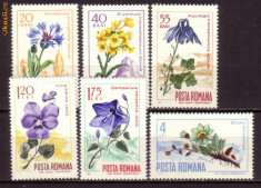 Romania L649 Flora carpatina 1967 foto