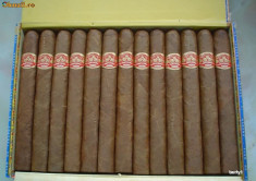 Trabuc Partagas Churchills foto