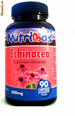 ECHINACEA 500MG 90 CAPSULE (produs canada la cel mai mic pret) foto