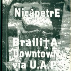 BrailitA- DowntowN via U.A.P sau Autobiografia unor pietre cioplite- NicapetrE