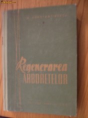 REGENERAREA ARBORETELUI - N. Constantinescu - Agrosilvica 1963, 521p.; 1500 ex.