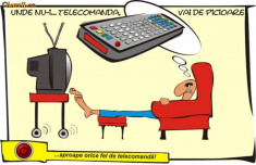 Telecomanda NECKERMANN IN 9530 foto