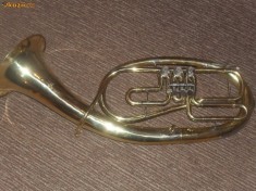 Basfligorn foto