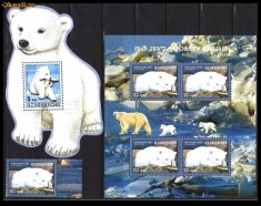 AZERBAIJAN 2007 FAUNA URSUL POLAR foto