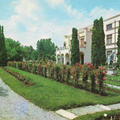 carte postala- CLUJ NAPOCA - Gradina Botanica