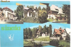 carte postala - SINAIA - Colaj