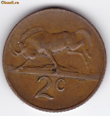 Africa de Sud-South Africa 2 Cents 1970,fauna,taur foto