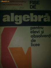 FISE DE ALGEBRA PENTRU ELEVI SI ABSOLVENTI DE LICEE - N. GHIRCOIASIU, M. IASINSCHI foto