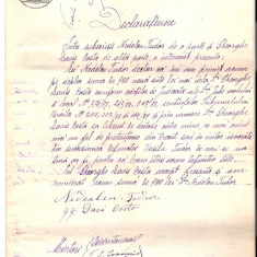 235 Document vechi fiscalizat-1889 -Declaratiune: Nedelcu Tudor;Gheorghe Davis Costa(grec?)-timbru fix; timbru sec; filigran,,ROMANIA-HARTIA TIMBRATA"