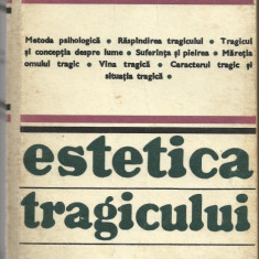 Johannes Volkelt / ESTETICA TRAGICULUI