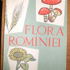 FLORA ROMANIEI - I. Simionescu - Editura Tineretului 1960. 358 p.