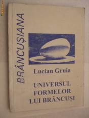 UNIVERSUL FORMELOR LUI BRANCUSI - Lucian Guia - 2001,110 p. + 72 fotografii foto