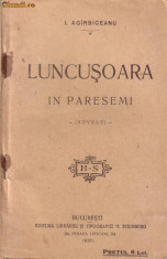 AGARBICEANU -LUNCUSOARA foto