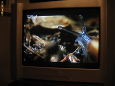 Tv color Sony WEGA (CRT) foto