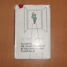 PLANTE DE APARTAMENT SI DECORATIUNI FLORALE - EUGEN SADOFSKY, AMELIA MILITIU -